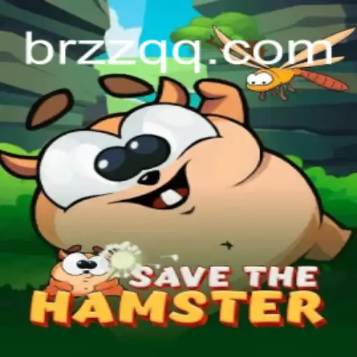 Discover the Exciting World of SavetheHamster on ZZQQ⭐️ ONLINE PLATAFORMA OFICIAL