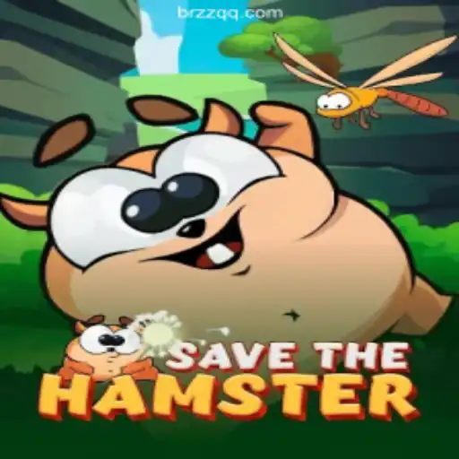 Discover the Exciting World of SavetheHamster on ZZQQ⭐️ ONLINE PLATAFORMA OFICIAL